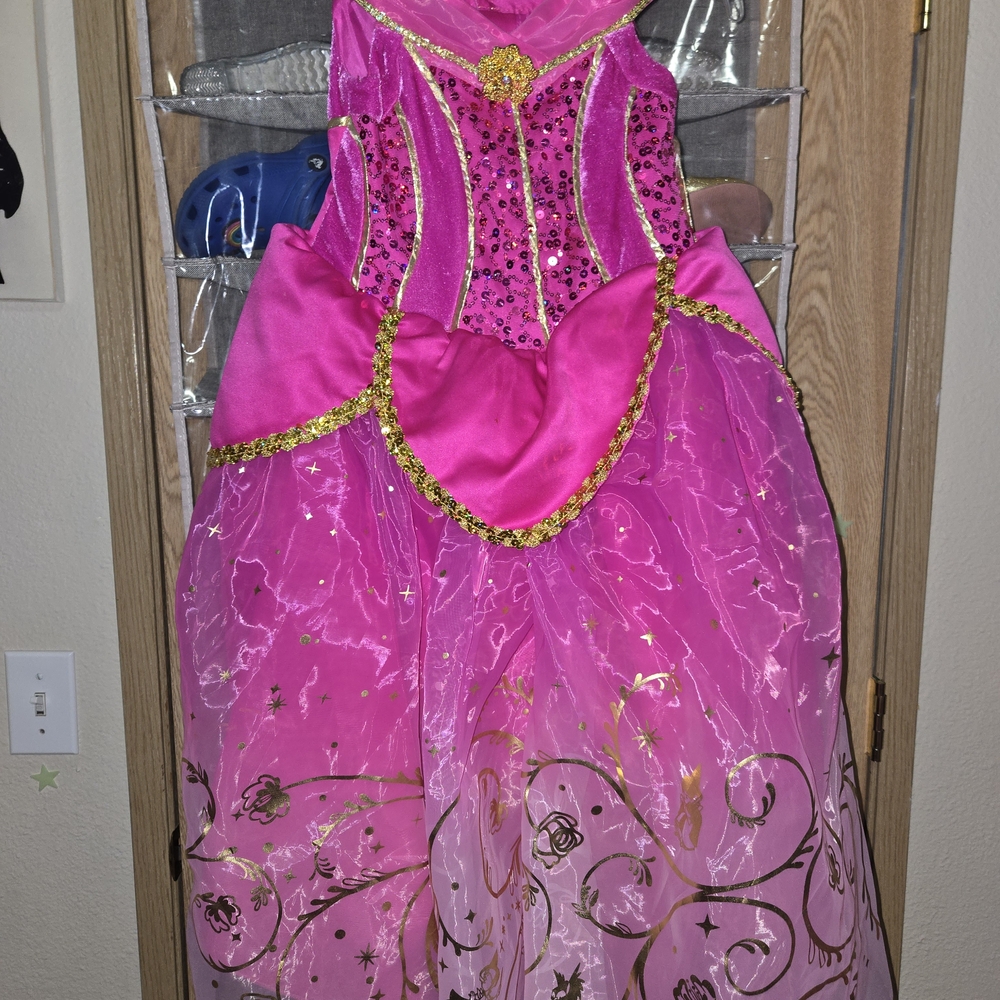 Disney Bippity Boppity Boutique Princess Aurora Dress